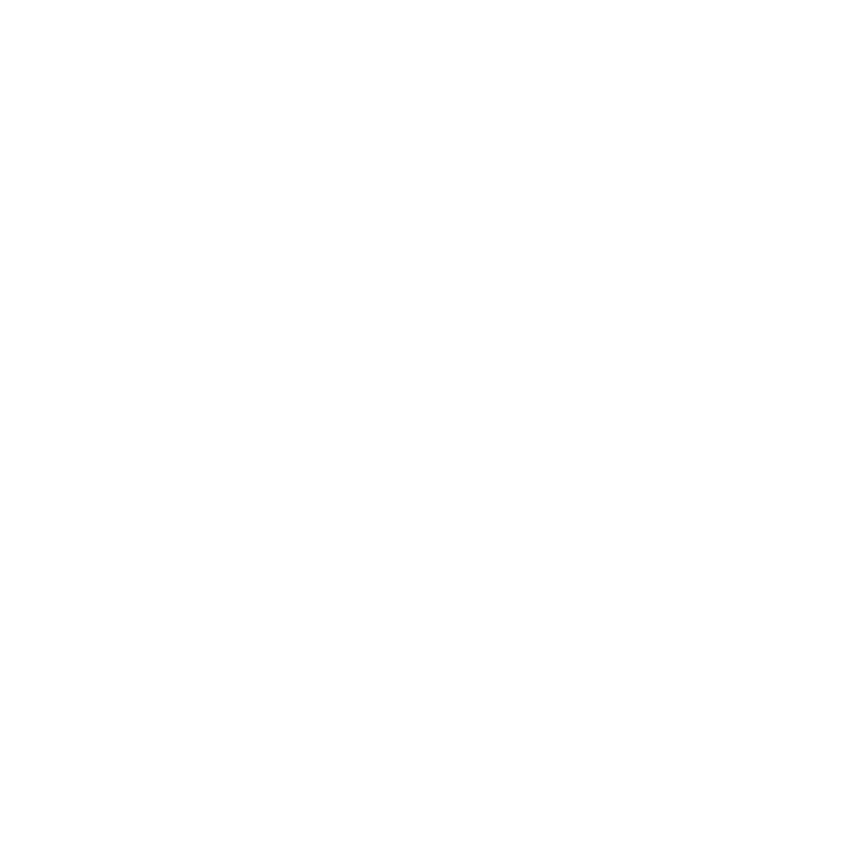 icon1